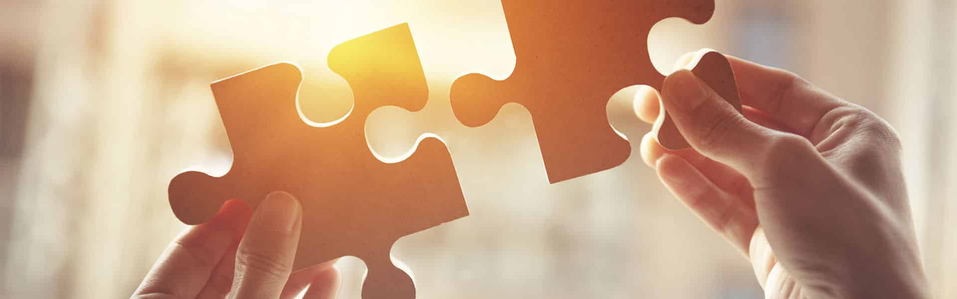 puzzle pieces indicating a BPO partner agreement